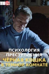 Психология преступления 3: Черная кошка в темной комнате (2021) смотреть онлайн